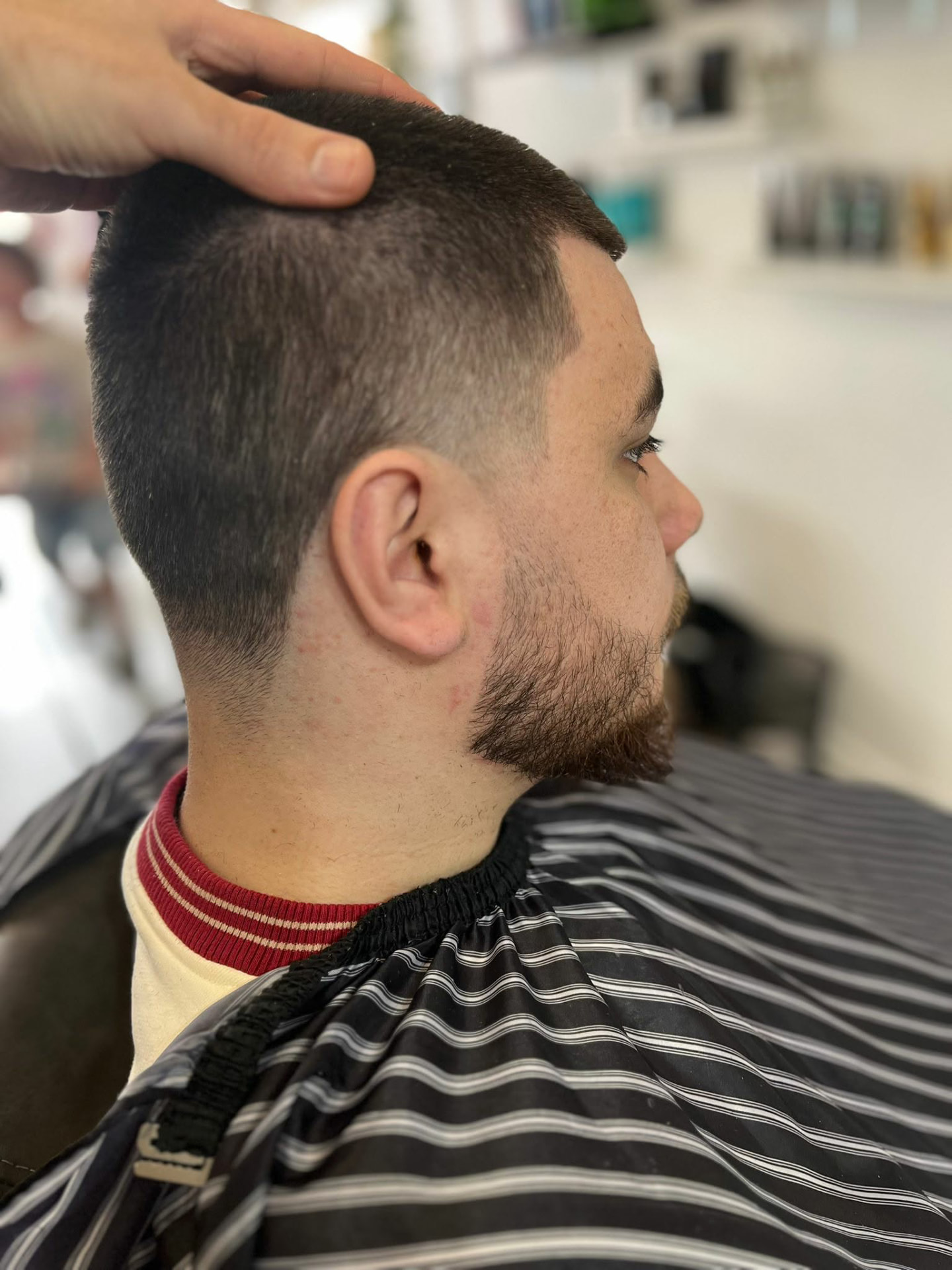 Short back and sides with a beard trim at Castle Barbers